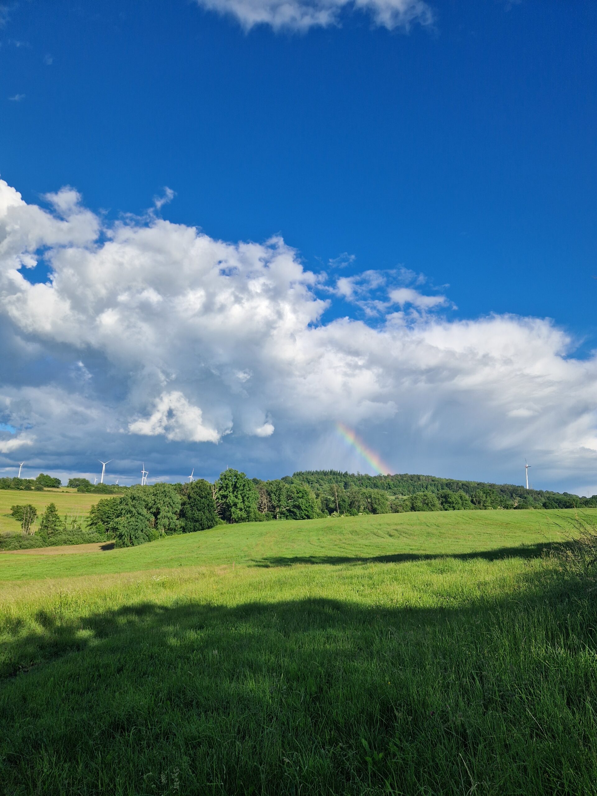Natur pur